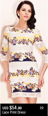 Lace Print Dress
