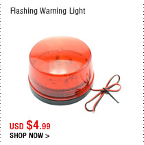 Flashing Warning Light