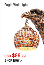 Eagle Wall Light