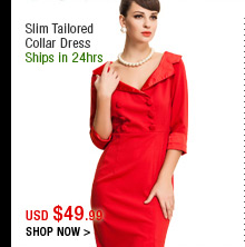 Slim Tailored Collar Dress