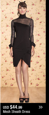 Mesh Sheath Dress