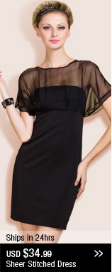 Sheer Stitched Dress