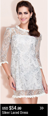 Sliver Laced Dress