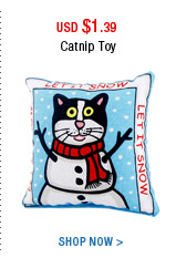 Catnip Toy