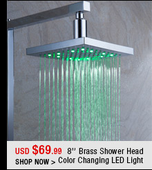 8'' Brass Shower Head