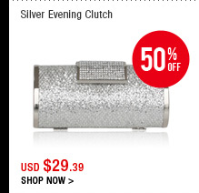 Silver Evening Bag