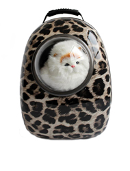 Essenciais de Viagens para C...