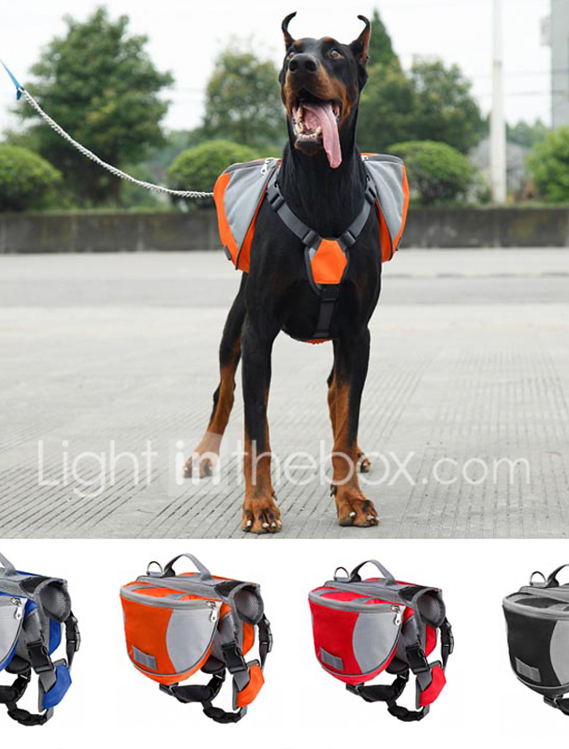 dog running with backpack